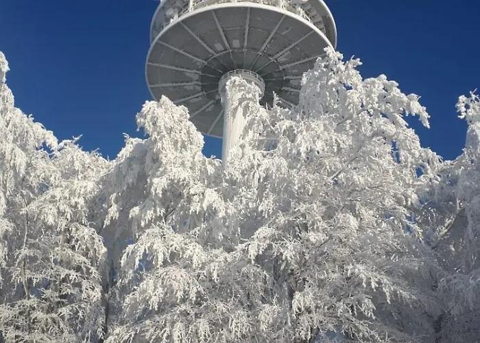 Casa de Férias Vater Bender Heim
